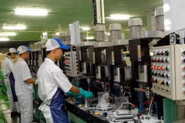 Romania calls for more Vietnamese investment 