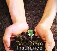 Vietnam’s insurance industry looks to further expansion 