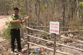 Drought heightens risk of forest fires