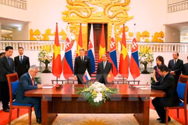 Vietnamese, Slovakian PMs seek measures for bilateral ties 
