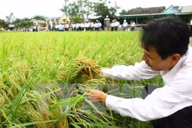 Solution sought to assist farmers in adapting to TPP