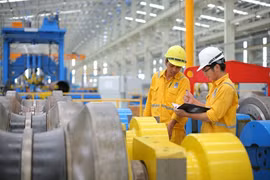 Vietnam’s GDP declared robust, growth expected 