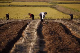 DPRK shifts towards improving people living standards