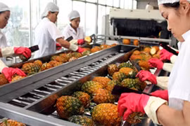 Fruit exports likely to reach over 2 billion USD
