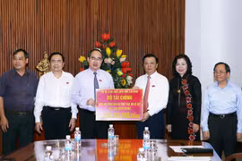 VFF ensures delivery of aid to central provinces 