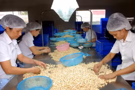 Vietnam, China look to boost trade ties