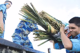 Spring arrives on Truong Sa 