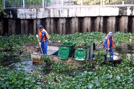HCM City intensifies anti-pollution, canal cleanup efforts