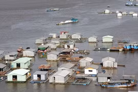 Hydropower dams cause 231 mln USD in damage to Mekong Delta 