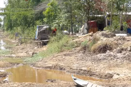 Material shortage cripples shrimp processing factories
