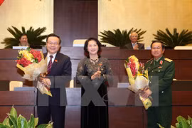 National Assembly has two new Vice Chairmen