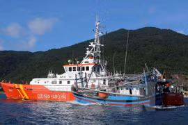 Vietnam enquiring into sinking of fishing boat: official