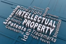 IP rights must be ensured: official 
