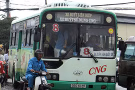 CNG-fuelled buses take to HCM City streets 