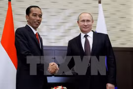 Indonesia, Russia boost bilateral cooperation