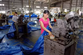 Vietnam’s plastic sector eyes alternatives