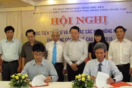 Phu Yen boosts cooperation in hi-tech agriculture 