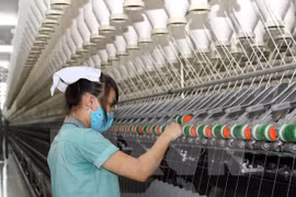 Binh Duong: FDI attraction picks up 19 percent 