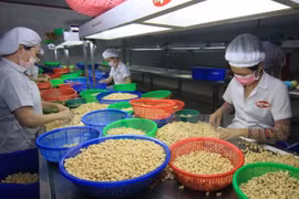 WTO Director-General: Vietnam is on the right path