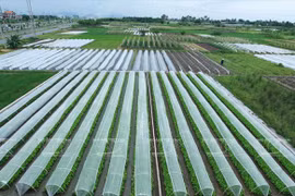 Hi-tech, advanced techniques key to agriculture future