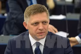 Vietnam, Slovakia enhance trade