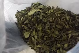 Police bust cross-border drugs ring