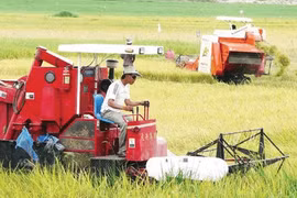 Mekong Delta should build logistics chains to boost exports 