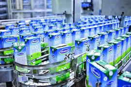 Dairy maker tops Vietnam’s most valuable brands 