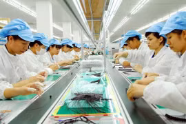 Vietnamese law compatible with EVFTA’s major commitments