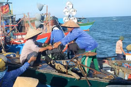 Fisheries trade union protests Chinese ships’ attacks on VN's boats