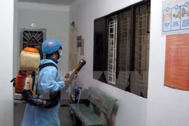 HCM City prevents major infectious diseases