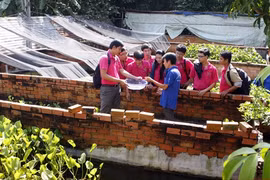 HCM City target youth for business startup hub