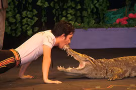 International circus to open in HCM City