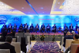 Vietnam pledges to prevent illegal fishing