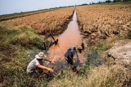 Salinity expected to rise again in southern rivers 