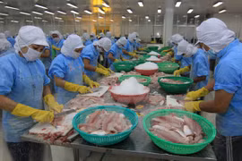 Vietnam, US firms ink deals on sidelines of ASEAN-US Summit 