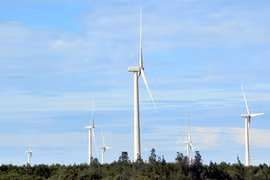 Vietnam urged to increase use of renewable energy