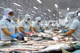 US pledges not to hinder Vietnam’s export of tra fish: official 