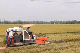 Nam Dinh fosters agriculture cooperation with Japanese locality