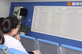 VN Index ends four-day decline