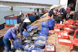 Compensations to reach all affected by mass fish deaths: Cabinet meeti