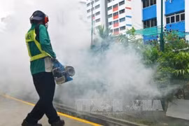 Singapore discovers more cases of Zika virus