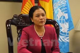 Vietnam faces opportunities, challenges in UN programme realisation