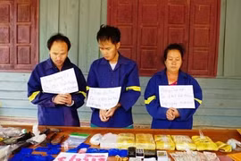 Vietnamese, Lao localities join hands in drug prevention