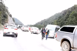 Freezing weather causes damage to northern localities 