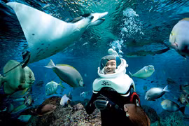 Cu Lao Cham offers seabed-walking service to tourists 