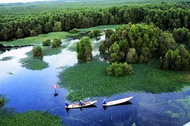 U Minh Thuong National Park expected to become friendly destination