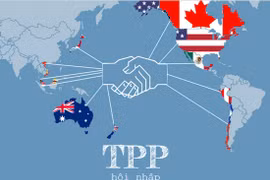 Prospects for Vietnam-US economic, education cooperation 