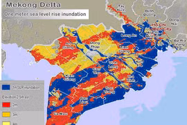 Climate change presents challenges for Mekong Delta