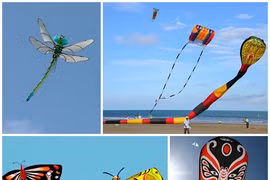 Giant kites soar up into Hung Yen province’s sky 